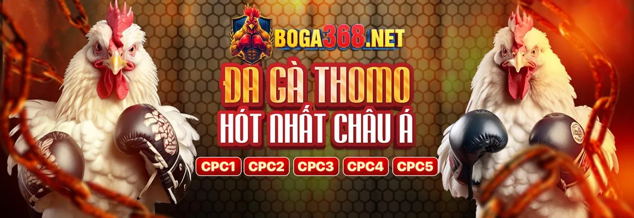 Cá cược thể thao fb8bet nhà cái